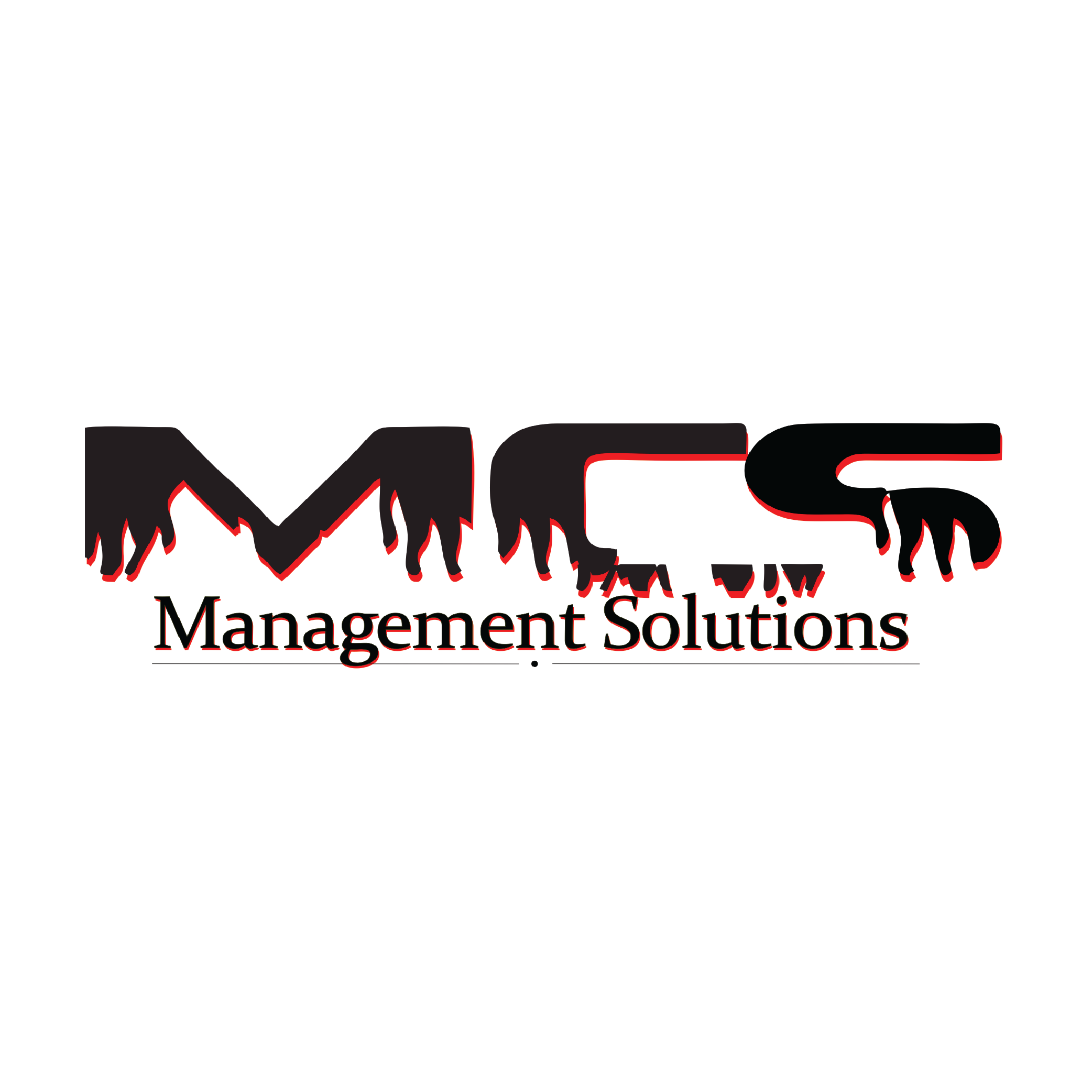 MCS Management Solutions