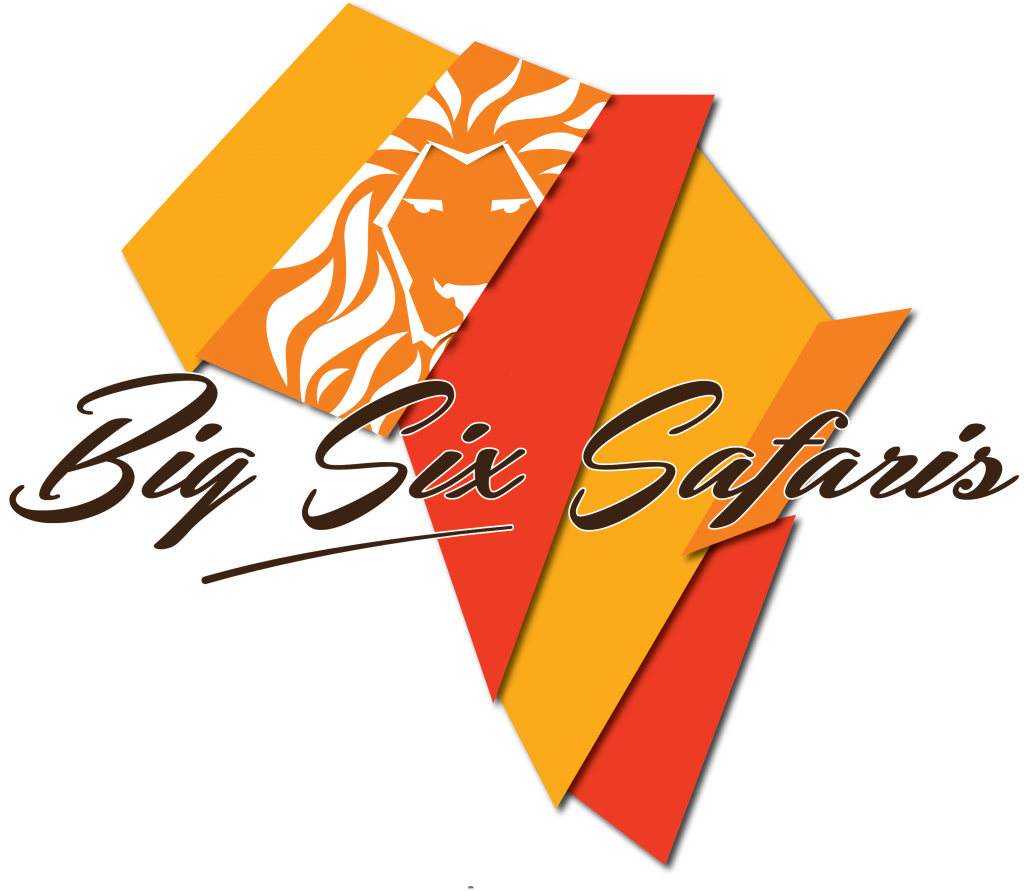 Peri Peri creative - big six safaris logo