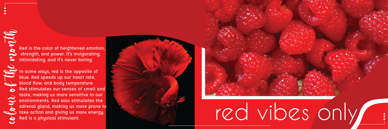 Peri Peri Creative Portfolio - Social Red17